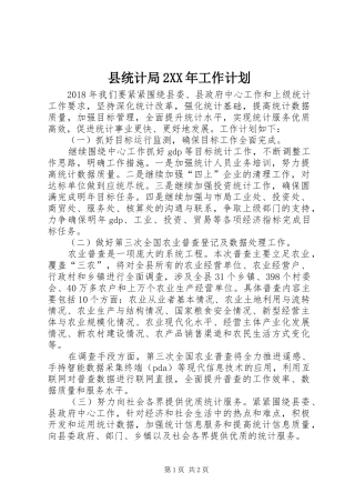 县统计局2XX年工作计划 