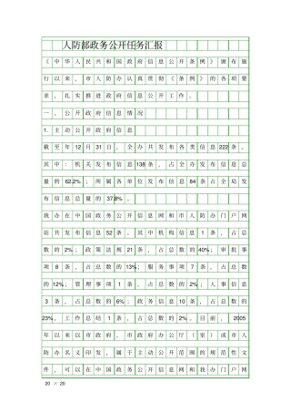人防部政务公开任务汇报精品工作报告
