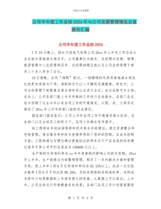 公司半年度工作总结2024年与公司发票管理情况自查报告汇编