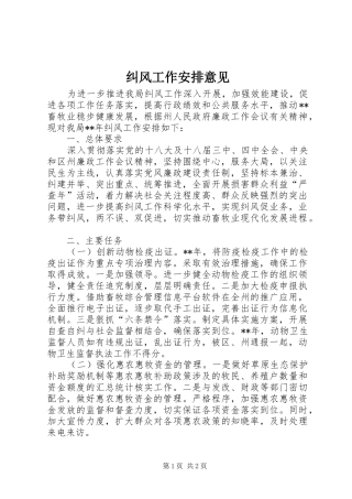 纠风工作安排意见 