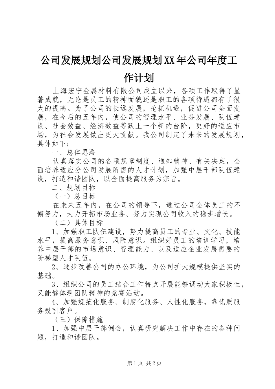 公司发展规划公司发展规划XX年公司年度工作计划 _第1页