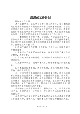 组织部工作计划 (20)