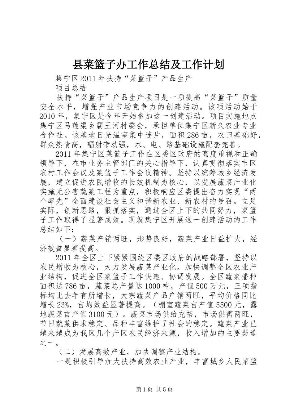 县菜篮子办工作总结及工作计划 _第1页