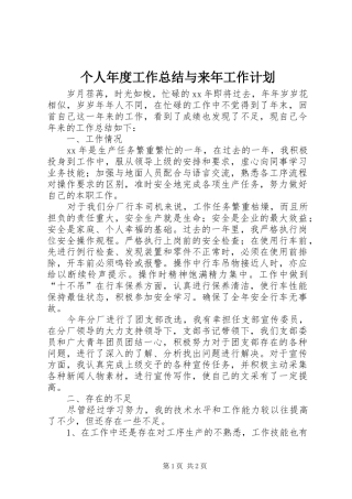 个人年度工作总结与来年工作计划 