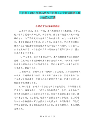 公司员工2024年终总结与公司员工3个月试用期工作小结范文汇编