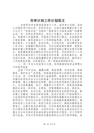 市审计局工作计划范文 