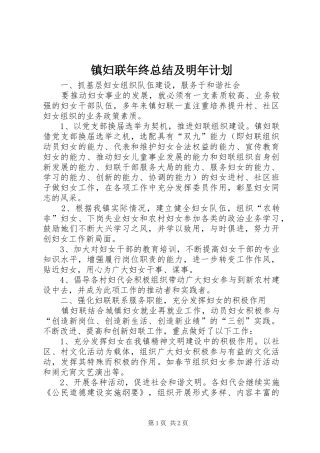 镇妇联年终总结及明年计划 
