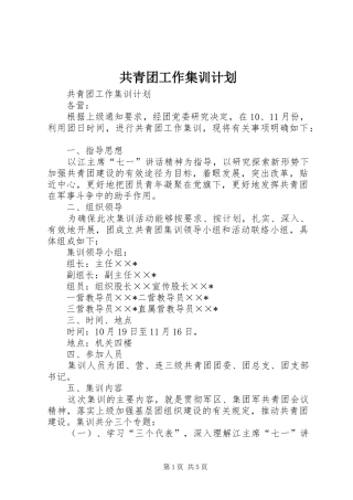 共青团工作集训计划 
