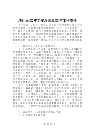 统计局XX年工作总结及XX年工作安排 