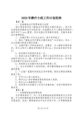 20XX年静疗小组工作计划范例