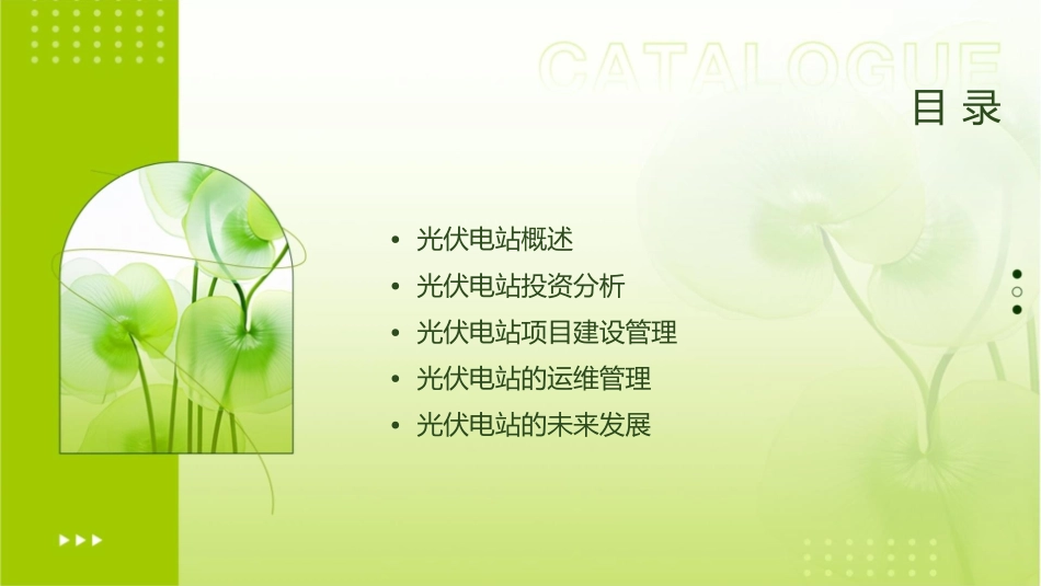 光伏电站投资与项目建设管理课件1_第2页