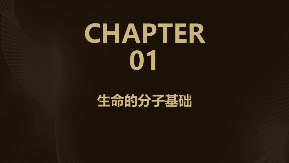 讲生命的化学基础课件_第3页