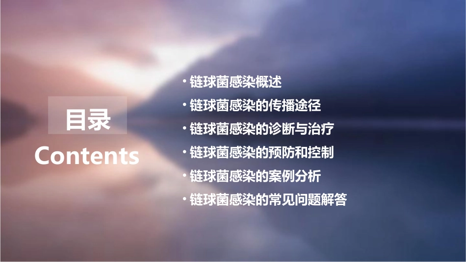 链球菌感染幻灯课件_第2页