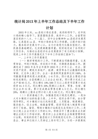 统计局201X年上半年工作总结及下半年工作计划