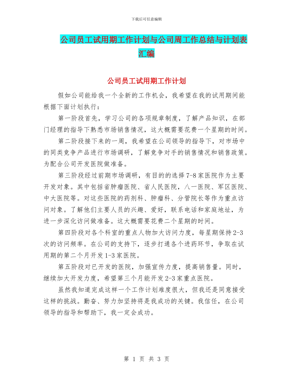 公司员工试用期工作计划与公司周工作总结与计划表汇编_第1页