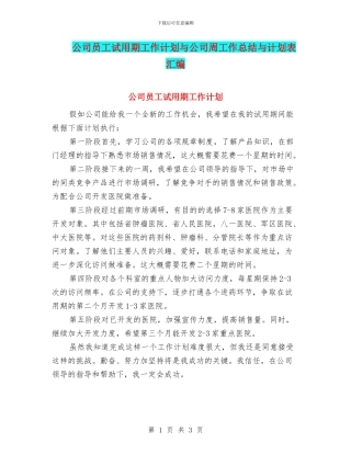 公司员工试用期工作计划与公司周工作总结与计划表汇编
