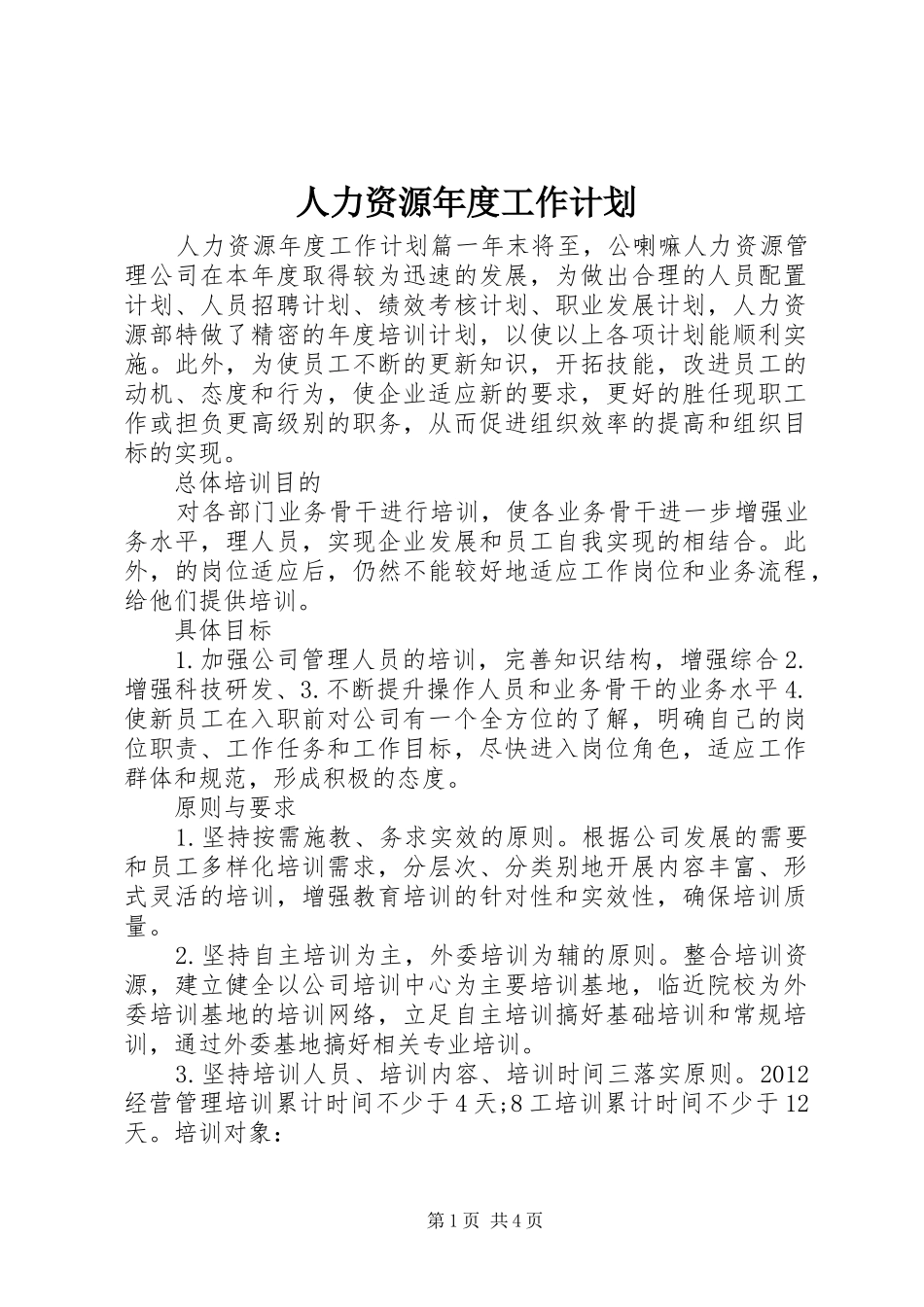 人力资源年度工作计划 _第1页