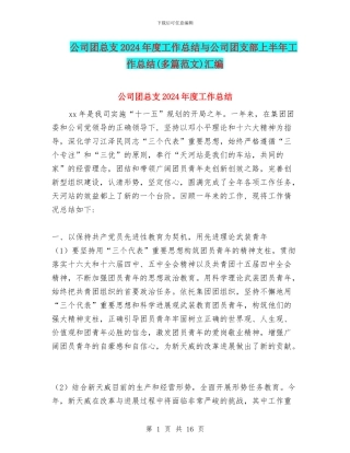公司团总支2024年度工作总结与公司团支部上半年工作总结汇编
