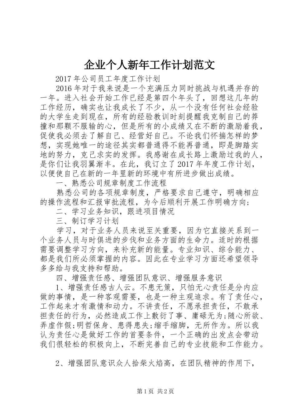 企业个人新年工作计划范文 _第1页
