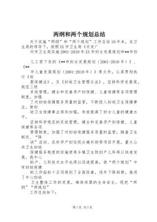 两纲和两个规划总结 