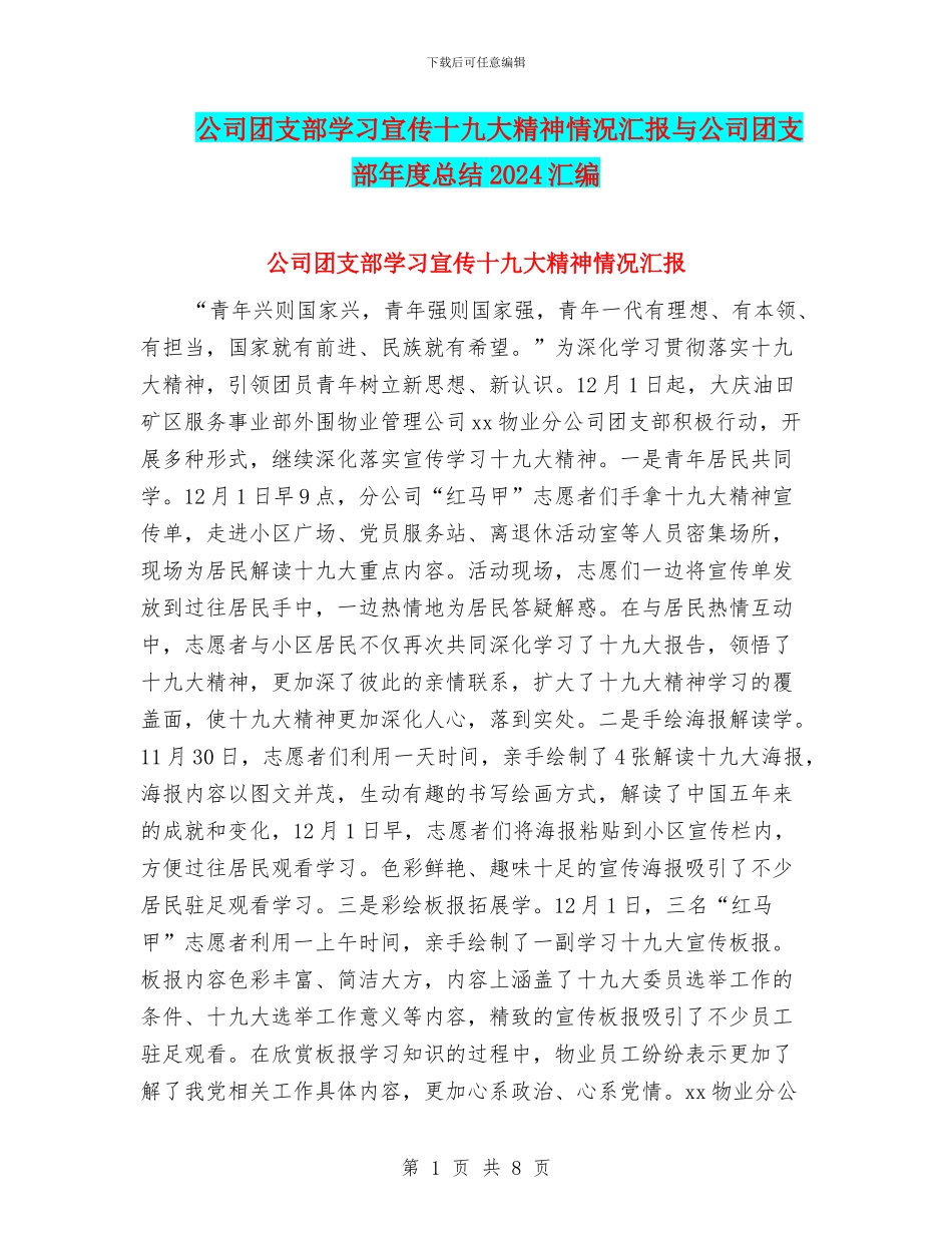 公司团支部学习宣传十九大精神情况汇报与公司团支部年度总结2024汇编_第1页