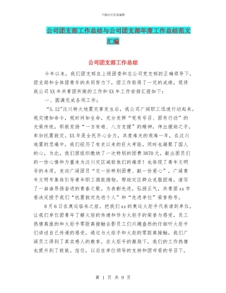 公司团支部工作总结与公司团支部年度工作总结范文汇编