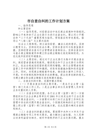 市自查自纠的工作计划方案 