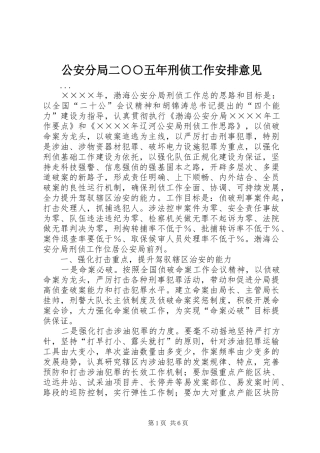 公安分局二○○五年刑侦工作安排意见 