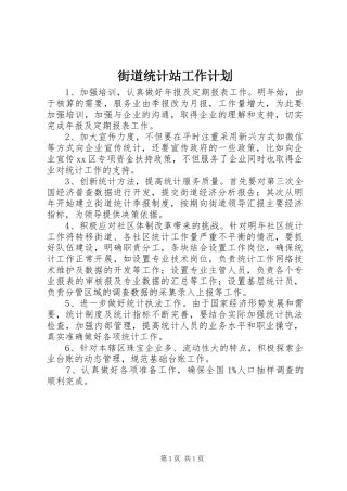 街道统计站工作计划 