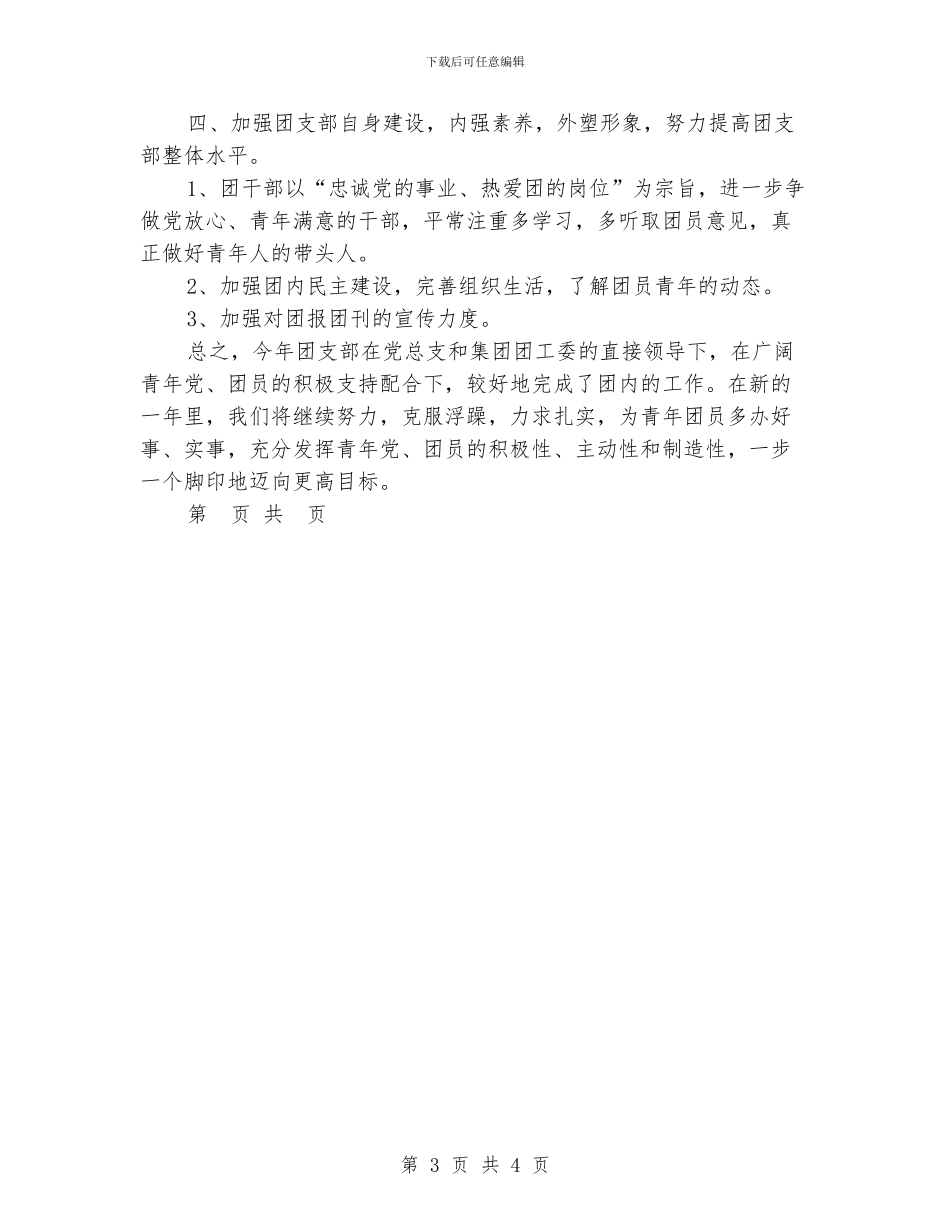 公司团支部年终总结_第3页