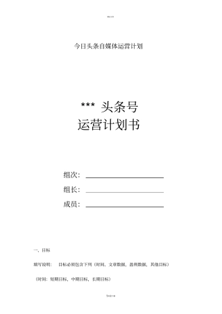 今日头条运营计划书
