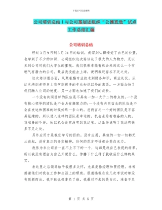 公司培训总结1与公司基层团组织“公推直选”试点工作总结汇编