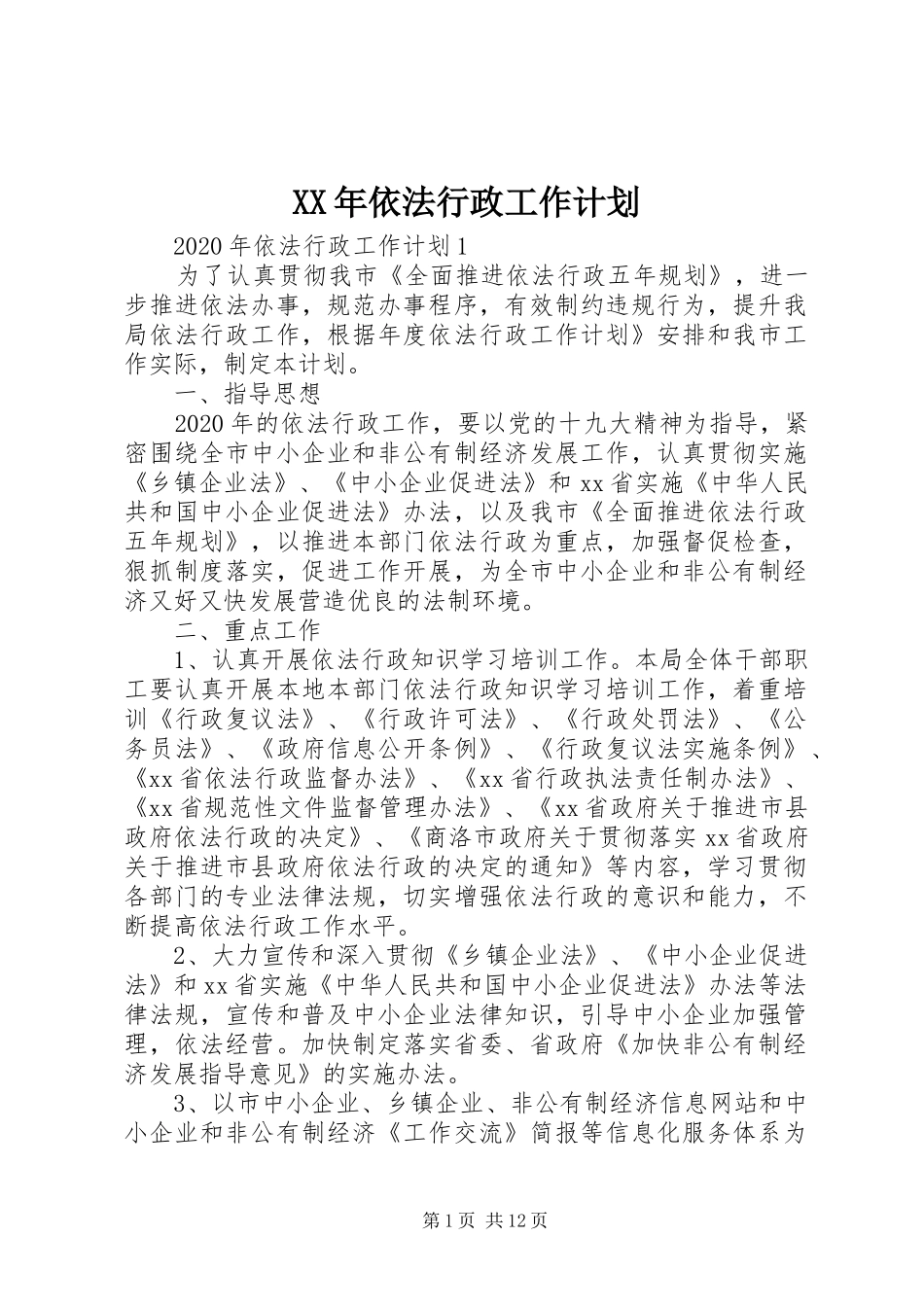 XX年依法行政工作计划 _第1页