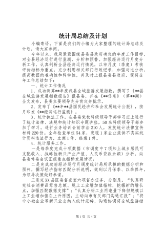 统计局总结及计划 