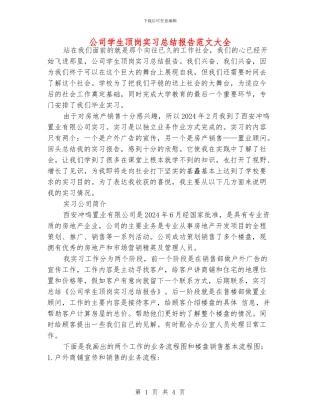 公司学生顶岗实习总结报告范文大全