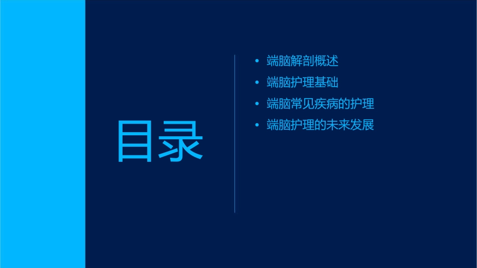 人体解剖学之端脑护理课件1_第2页