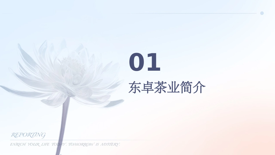 东卓茶业易武普洱的由来课件_第3页