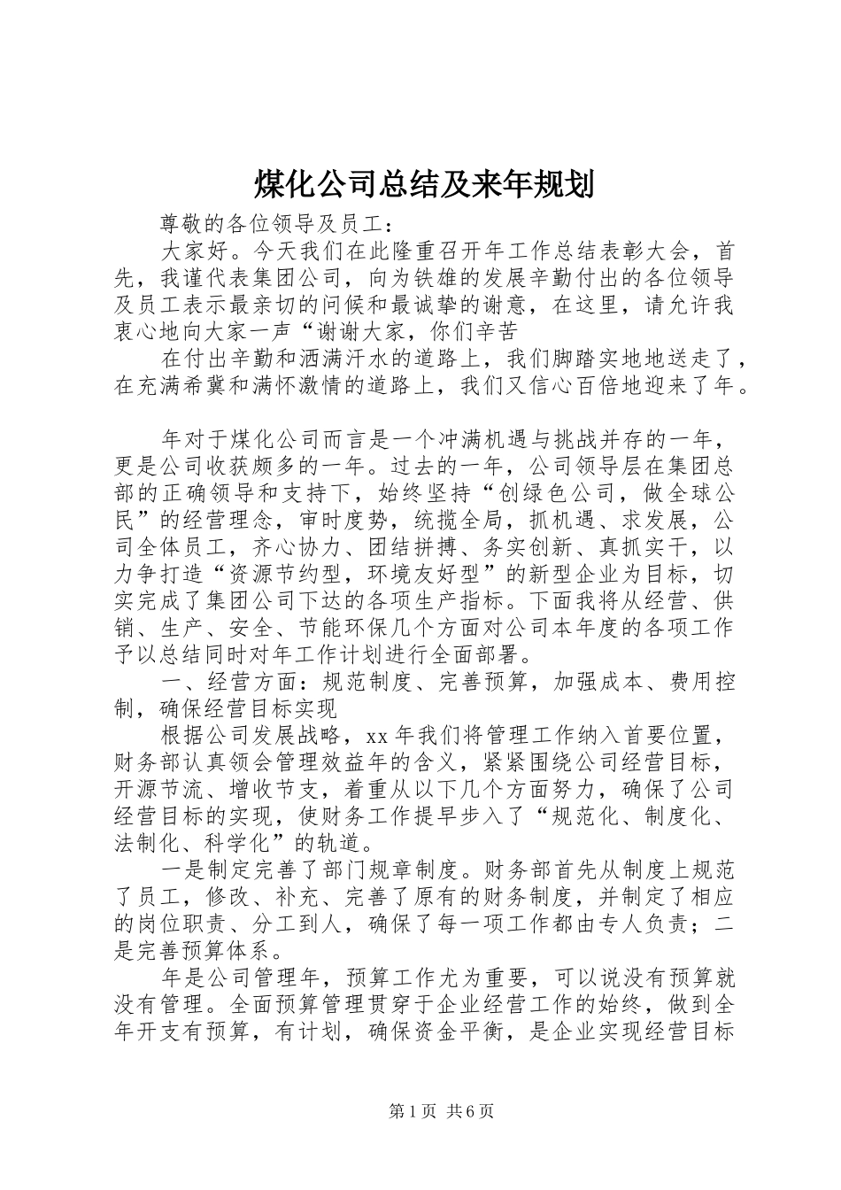 煤化公司总结及来年规划 _第1页