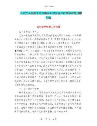 公司安全检查工作方案与公司安全生产事故应急预案汇编