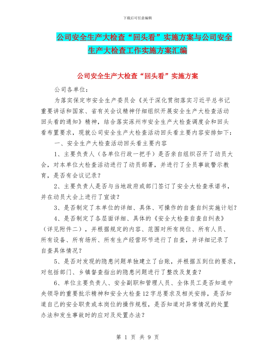 公司安全生产大检查“回头看”实施方案与公司安全生产大检查工作实施方案汇编_第1页