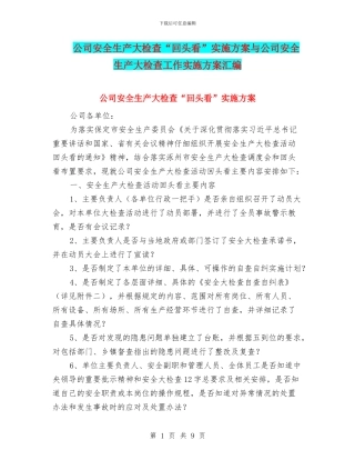 公司安全生产大检查“回头看”实施方案与公司安全生产大检查工作实施方案汇编