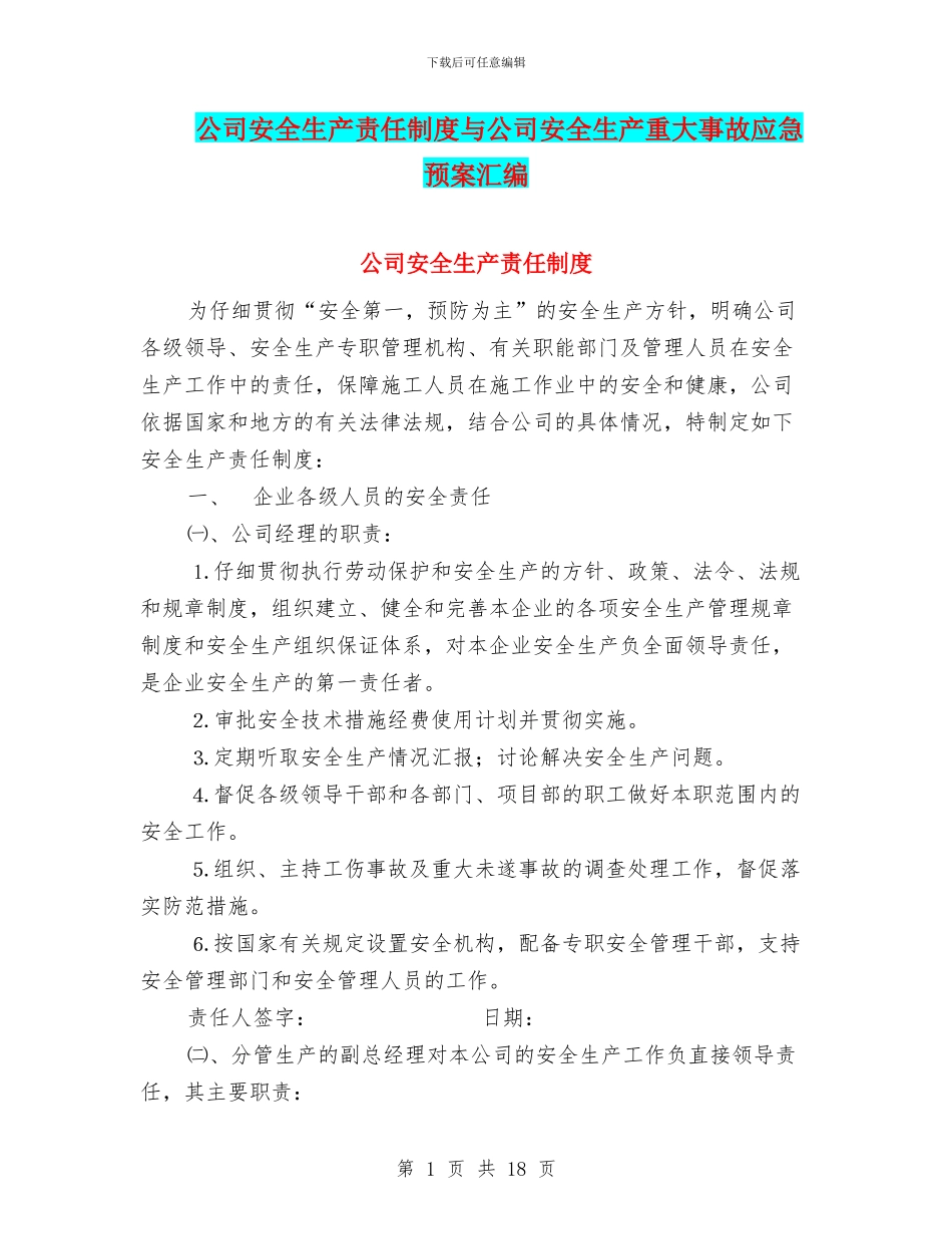 公司安全生产责任制度与公司安全生产重大事故应急预案汇编_第1页