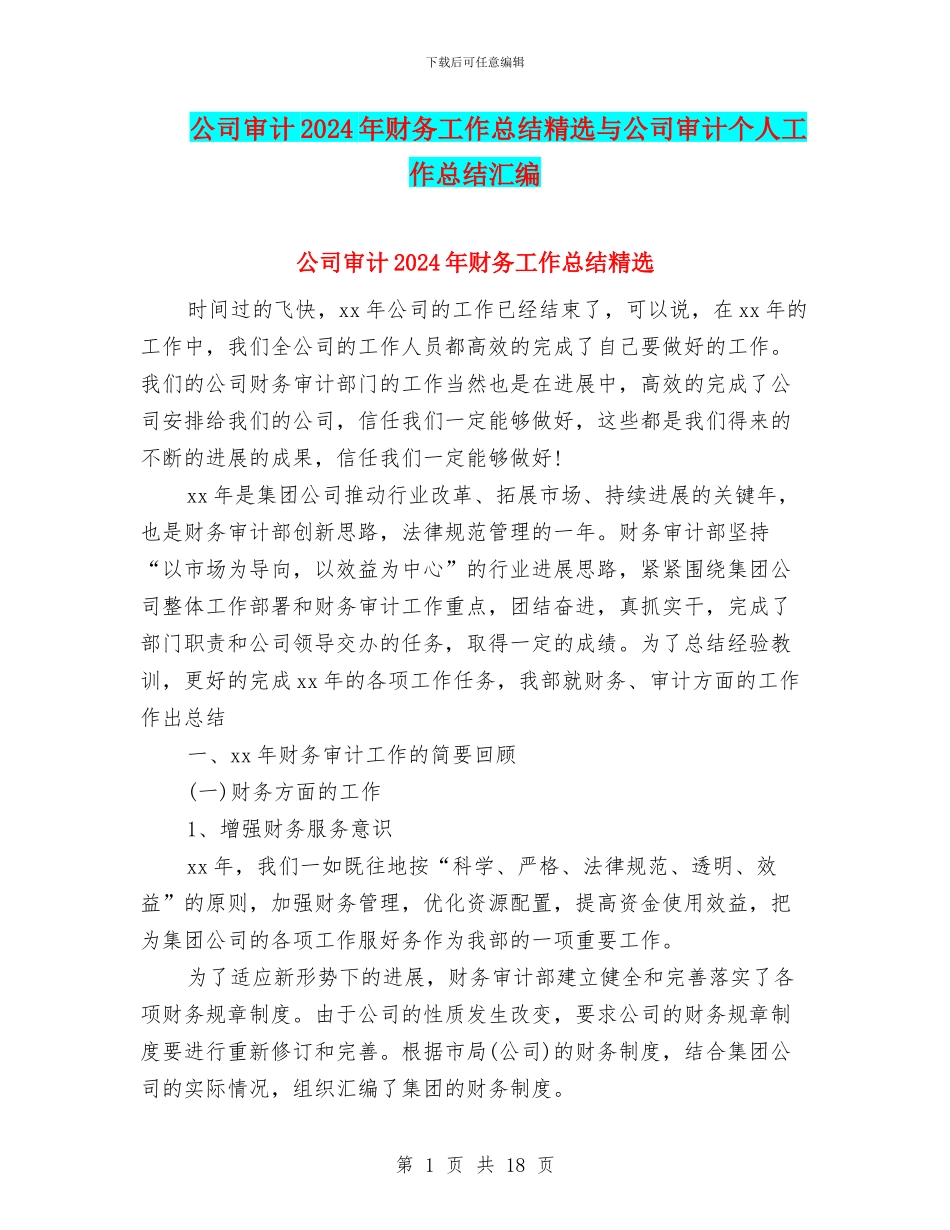 公司审计2024年财务工作总结精选与公司审计个人工作总结汇编_第1页