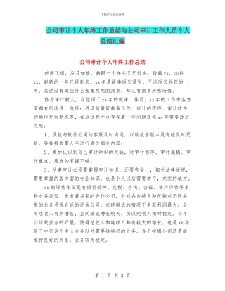 公司审计个人年终工作总结与公司审计工作人员个人总结汇编