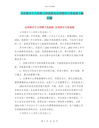 公司审计个人年终工作总结与公司审计工作总结3篇汇编