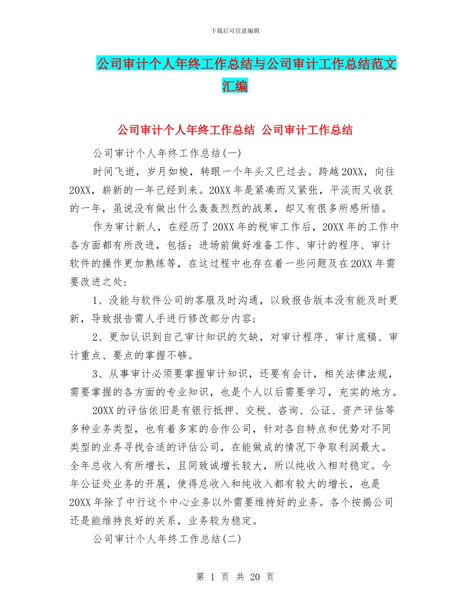 公司审计个人年终工作总结与公司审计工作总结范文汇编_第1页