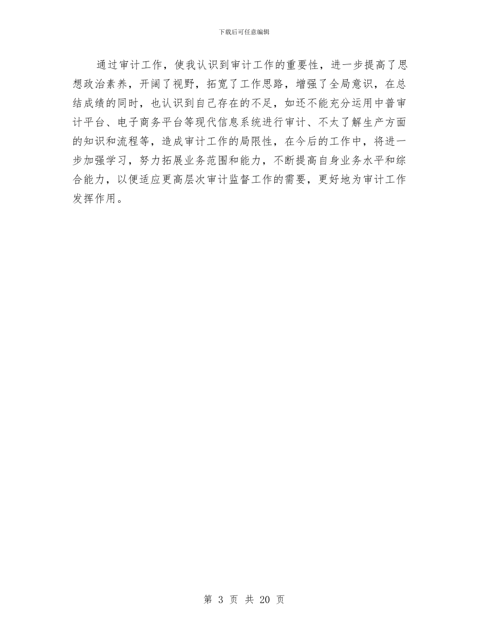 公司审计个人年终工作总结与公司审计工作总结范文汇编_第3页