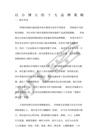 以小博大的十大品牌策略