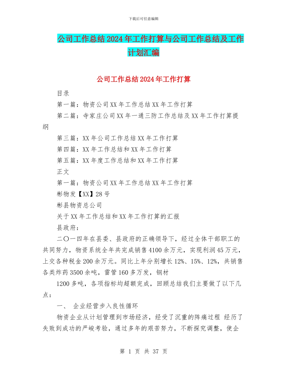 公司工作总结2024年工作打算与公司工作总结及工作计划汇编_第1页