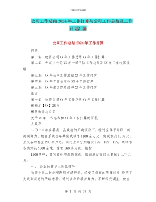 公司工作总结2024年工作打算与公司工作总结及工作计划汇编
